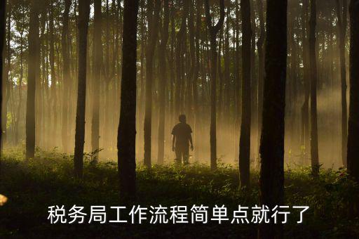稅務局上班要什么手續(xù)，稅務局工作流程簡單點就行了