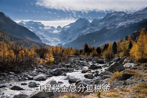 凈稅收中的總稅是什么，簡明的說下增值稅附加稅等各項稅款