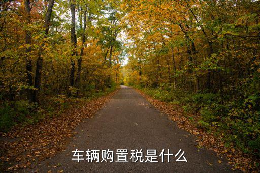 車購稅資金是什么，購置稅是什么