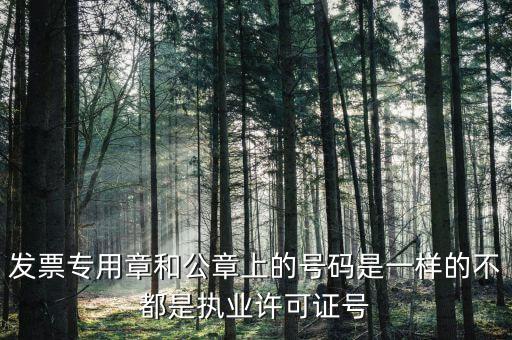 公章和發(fā)票章號(hào)碼是什么，發(fā)票專用章和公章上的號(hào)碼是一樣的不都是執(zhí)業(yè)許可證號(hào)