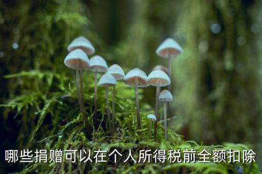 什么捐贈可以稅前扣除，求助企業(yè)在所得稅前可以扣除的捐贈支出