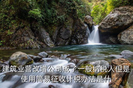 簡易計稅法是什么，簡易計稅法開具的是增值稅普通發(fā)票嗎