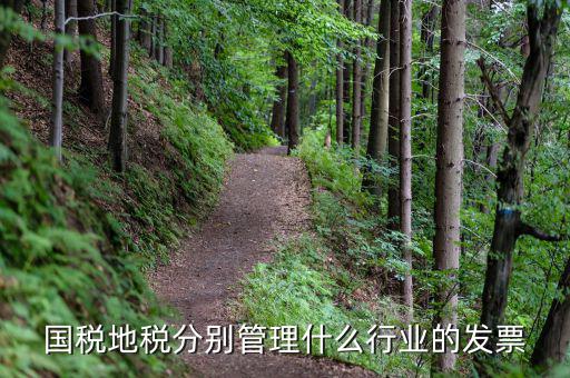 地稅涉及的行業(yè)都是什么，國(guó)稅地稅分別管理什么行業(yè)的發(fā)票