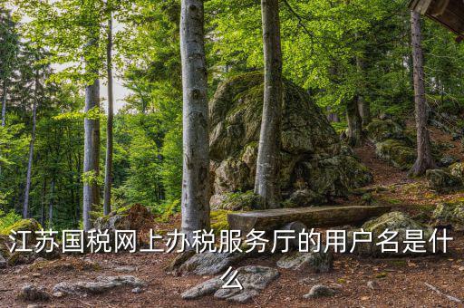 江蘇國(guó)稅用戶名密碼是什么意思，江蘇國(guó)稅網(wǎng)上辦稅服務(wù)廳的用戶名是什么