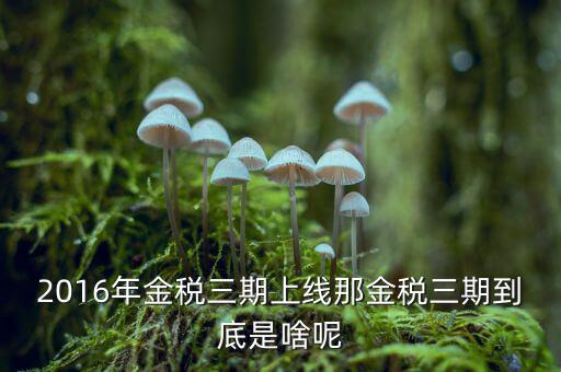金稅三期雙軌是什么，金稅三期是什么意思
