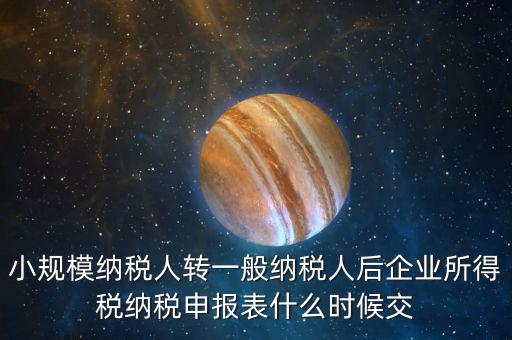 小規(guī)模申報(bào)什么時(shí)間，增值稅小規(guī)模納稅人2009年什么時(shí)候報(bào)年報(bào)