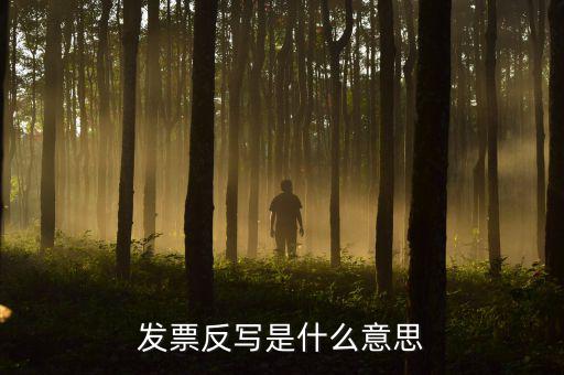發(fā)票反寫(xiě)是什么意思