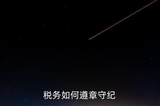 稅務(wù)守紀(jì)律是什么意思，呵呵 什么叫做守紀(jì)律