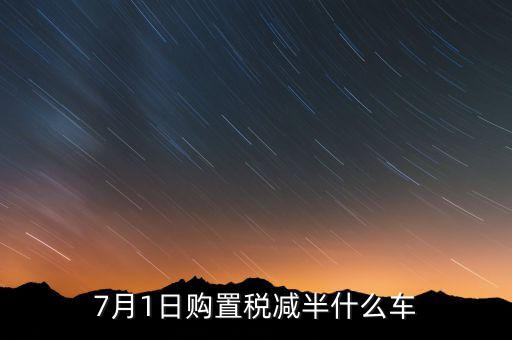 車稅減半針對什么車，101以后購車附加費減半 包含哪些車型