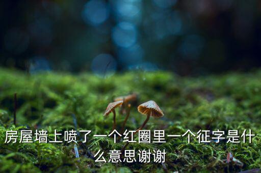 墻上印征收是什么意思，房屋墻上噴了一個紅圈里一個征字是什么意思謝謝