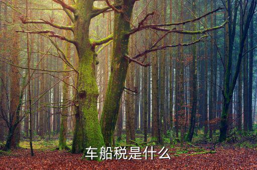 摩托車車船稅是什么，摩托車也收車船稅嗎