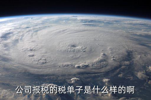 稅務(wù)清單是什么樣的，公司報(bào)稅的稅單子是什么樣的啊