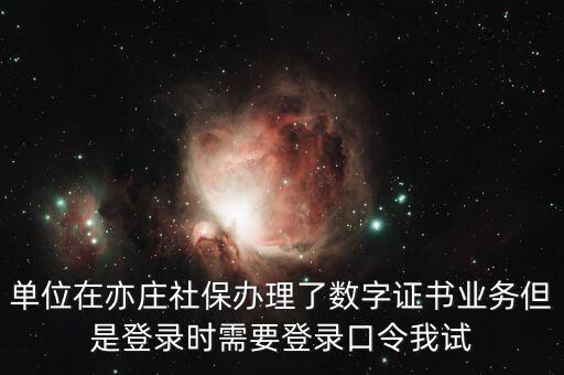 單位在亦莊社保辦理了數字證書業(yè)務但是登錄時需要登錄口令我試