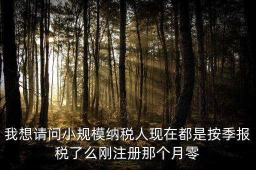 小規(guī)模什么時(shí)候零申報(bào)，增值稅小規(guī)模納稅人免稅零申報(bào)的歸屬期間
