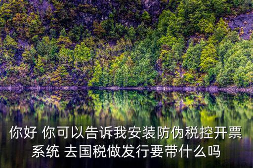 稅控發(fā)行是要做什么，稅控盤發(fā)行都呆哪些東西去稅務(wù)局需要法人去嗎
