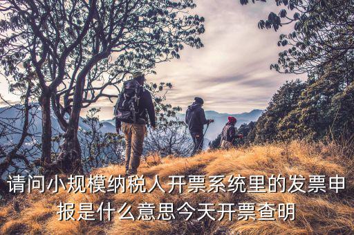 納稅人申報(bào)是什么意思，申報(bào)納稅是什么意思為什么取得營業(yè)執(zhí)造后30天就申報(bào)還沒有銷售