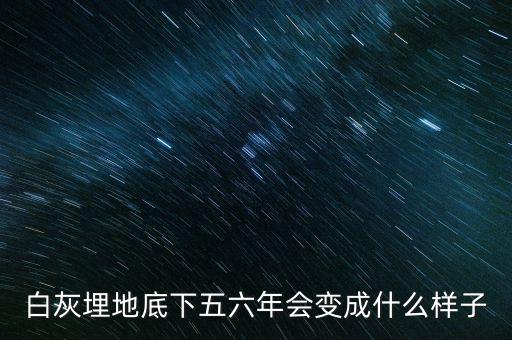 土地最底下是什么樣的，蛭石放在盆栽土壤的哪里土上還是土的最底下