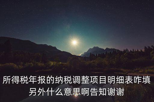 納稅調(diào)整項目明細表是什么意思，稅后調(diào)整是什么意思