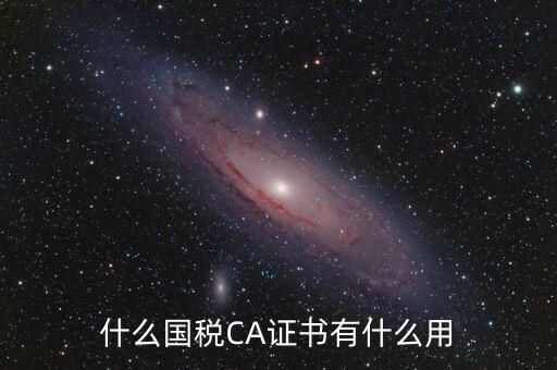 國(guó)稅ca登錄是什么，什么國(guó)稅CA證書(shū)有什么用
