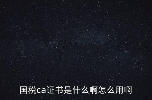國(guó)稅ca證書(shū)是什么啊怎么用啊