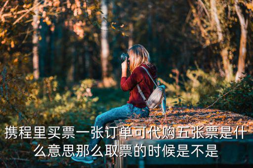 個(gè)人票代是什么意思嗎，動(dòng)漫中票代的意思