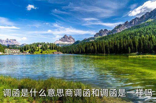 稅局調(diào)函是什么意思，暫不辦理個人檔案或同意調(diào)出函是什么意思