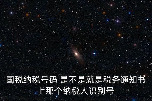 國(guó)稅稅務(wù)號(hào)是什么意思，國(guó)稅納稅號(hào)碼 是不是就是稅務(wù)通知書上那個(gè)納稅人識(shí)別號(hào)
