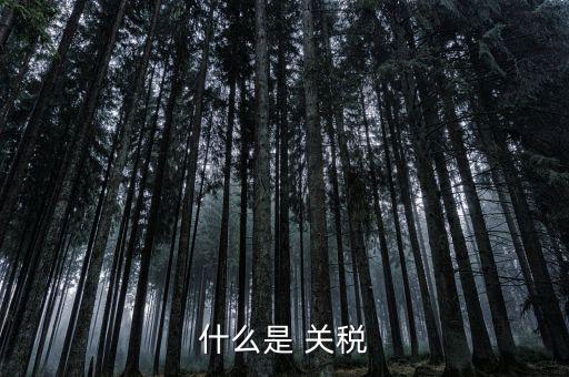 什么是國境關(guān)稅，關(guān)稅是什么