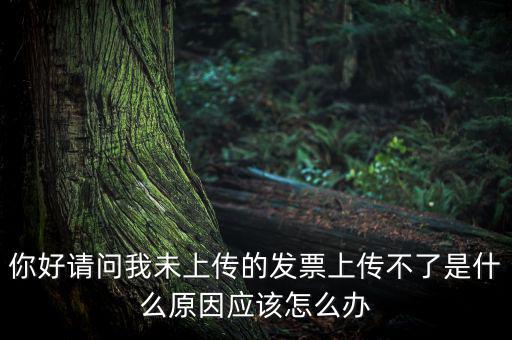 發(fā)票沒(méi)上傳什么意思，發(fā)票系統(tǒng)顯示O張未上傳發(fā)票可是在查不到提示查無(wú)此票怎么回