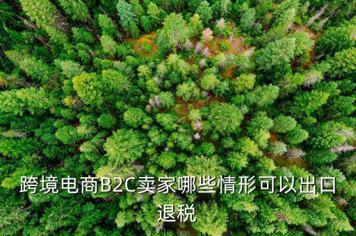 什么情況退稅，跨境電商B2C賣家哪些情形可以出口退稅