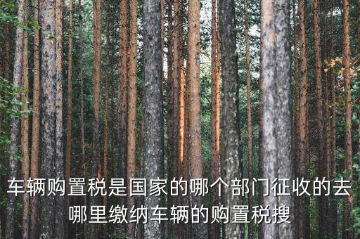 車購稅局屬于什么，車輛購置稅是國家的哪個部門征收的去哪里繳納車輛的購置稅搜