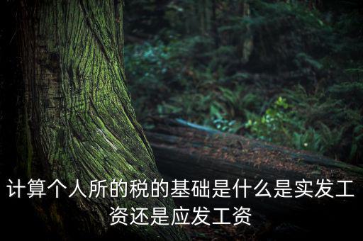 稅金的計算基礎(chǔ)是什么，計稅基礎(chǔ)是什么意思