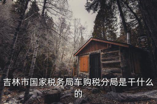 車購稅局主要干什么，新車去地稅局干什么
