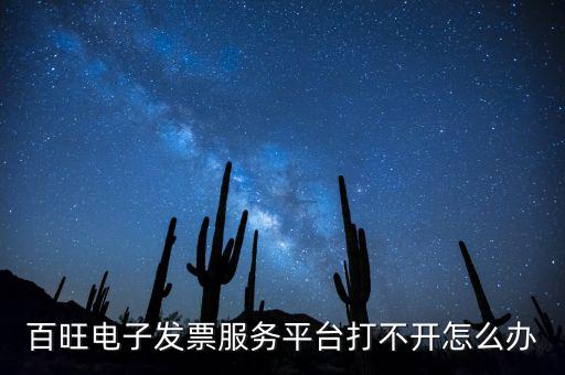 百旺電子發(fā)票服務平臺打不開怎么辦