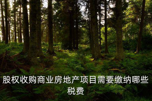 股權(quán)收購商業(yè)房地產(chǎn)項目需要繳納哪些稅費