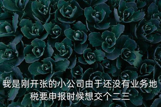 業(yè)務地稅是什么意思，利潤表里主營業(yè)務稅金及附加是國稅還是地稅征收呢親們幫忙解釋