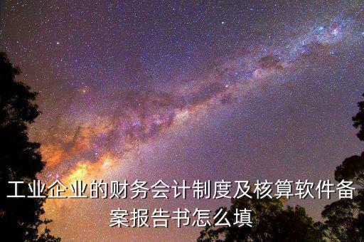 工業(yè)企業(yè)的財(cái)務(wù)會計(jì)制度及核算軟件備案報告書怎么填