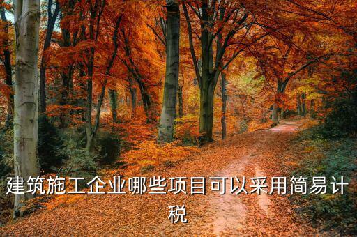 什么行業(yè)適合簡易征收，建筑行業(yè)什么情況下可以選擇簡易征收