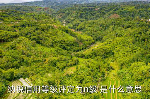 納稅信用等級b級是什么意思，納稅信用等級評定為n級 是什么意思