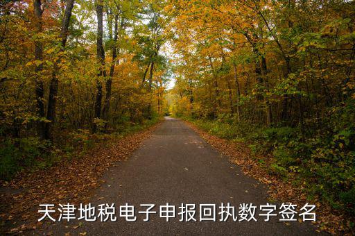 天津地稅自查表是什么，天津地稅電子申報(bào)回執(zhí)數(shù)字簽名