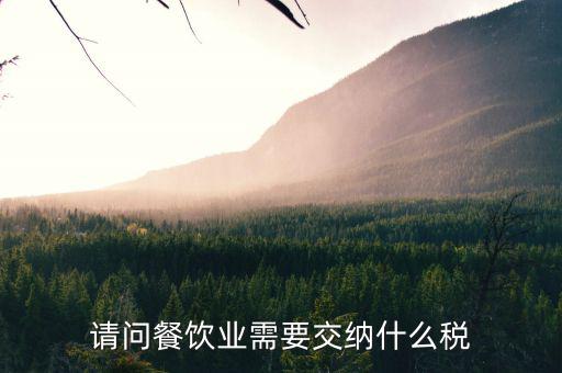 餐飲業(yè) 公司 交什么稅，餐飲企業(yè)繳納哪些稅