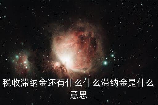 地稅滯納金是什么意思，稅收滯納金還有什么什么滯納金是什么意思