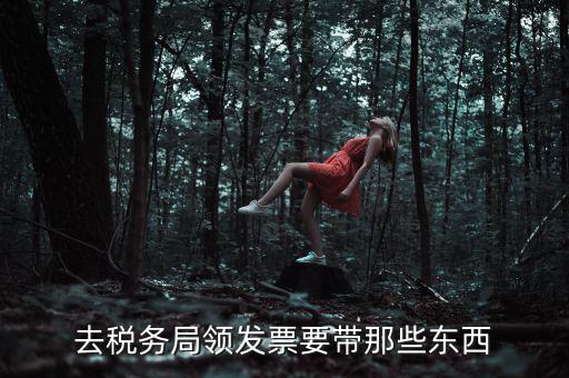 國稅領取發(fā)票需要帶什么，去國稅局領發(fā)票要帶什么