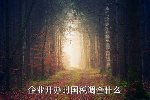 國(guó)稅稅收調(diào)查調(diào)查什么，國(guó)稅三稅調(diào)查是指哪三稅