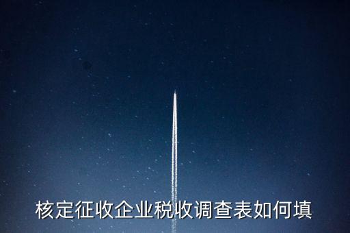 什么企業(yè)填稅收調(diào)查表，核定征收企業(yè)稅收調(diào)查表如何填