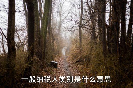 納稅人類別填什么，一般納稅人類別是什么意思