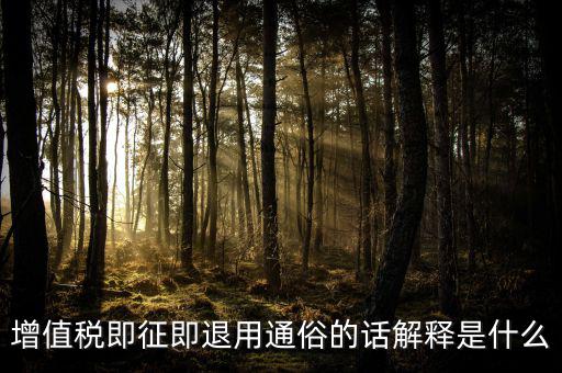 增值稅即征即退用通俗的話解釋是什么