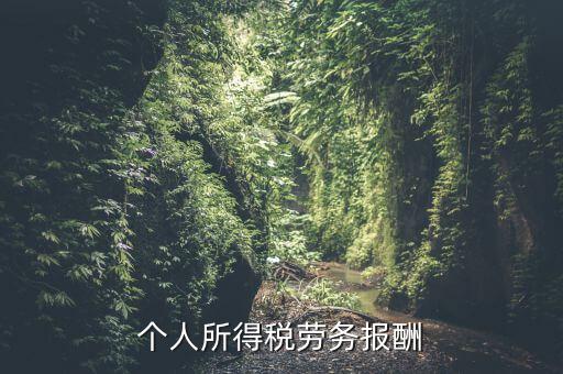個稅什么情況勞務(wù)報(bào)酬，有關(guān)個稅勞務(wù)報(bào)酬