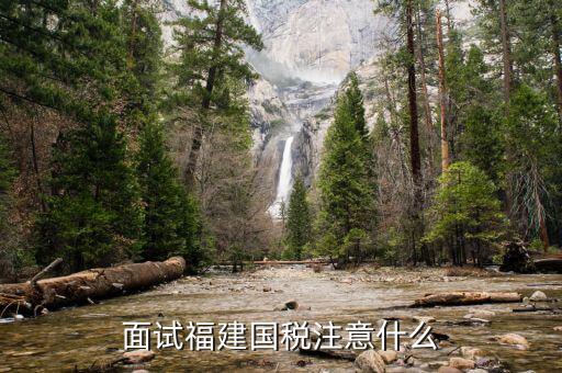 國稅局面試注意什么，大哥我考的是國稅局馬上去面試有什么好的意見和建議請不吝賜