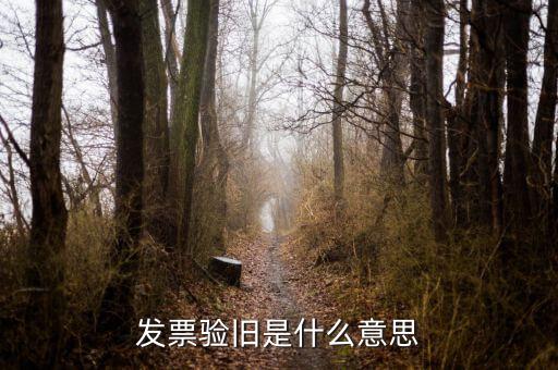 稅務(wù)驗(yàn)舊是什么意思，發(fā)票驗(yàn)證時(shí)提示舊系統(tǒng)已驗(yàn)舊是什么意思